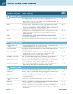 Clinical Anatomy: High-Value Structures & Clinical Correlations