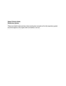 Stage 6 Science Notes: Respiratory System