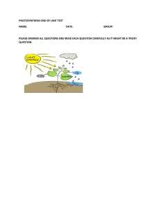 Photosynthesis End of Unit Test