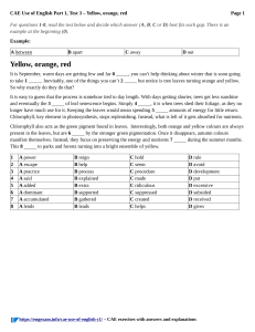 CAE Use of English Part 1 Test 3: Yellow, Orange, Red