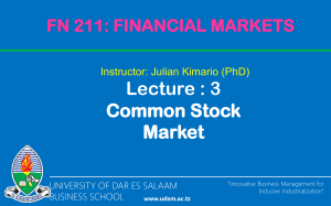 Common Stock Market Lecture Notes