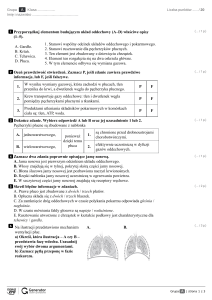 Test z układu oddechowego dla liceum