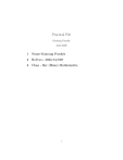 Practical File for BSc Mathematics Student
