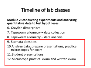 Biology Lab Timeline: Stomata, Crayfish, Tapeworm Experiments