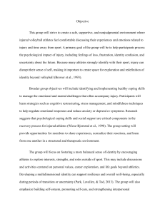 Injured Volleyball Athletes: Psychological Support Group Objectives