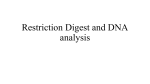 Restriction Digest and DNA Analysis Lab Manual