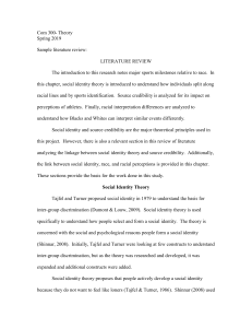 Sample Literature Review on Social Identity Theory