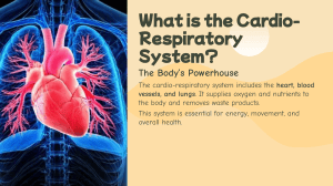 What is the Cardio-Respiratory System?