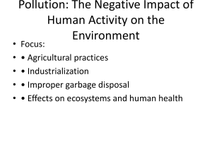 Pollution: Human Activity's Impact on Environment