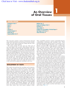 An Overview of Oral Tissues - Dental Histology