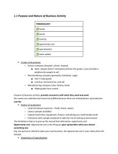 1.1 Purpose and Nature of Business Activity