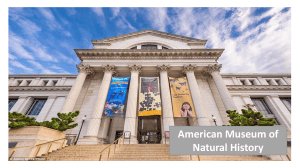 American Museum of Natural History Guide: Exhibits, History & Visiting Info