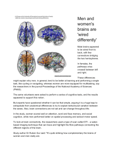 Men and Women's Brains Wired Differently: Study