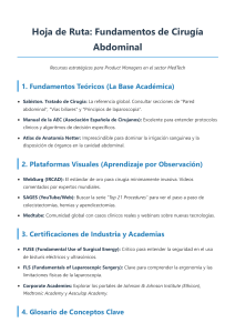 Hoja de Ruta: Fundamentos de Cirug&iacute;a Abdominal