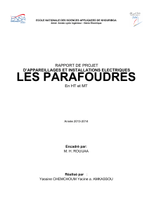 Rapport de projet : Les parafoudres en HT et MT