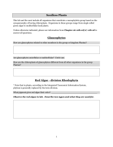 Seedless Plants Lab Manual: Algae, Mosses, Ferns