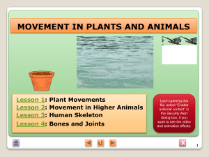 Movement in Plants and Animals: Biology Lesson