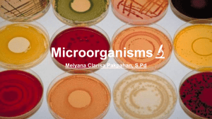 Microorganisms: Types, Growth, and Food Chains