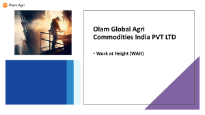 Work at Height (WAH) Safety Manual - Olam