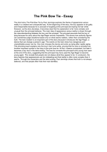The Pink Bow Tie Essay: Appearance vs Reality Analysis