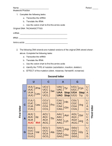 Mutations Practice Worksheet