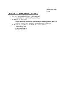 Chapter 11 Evolution Questions: Darwin, Natural Selection
