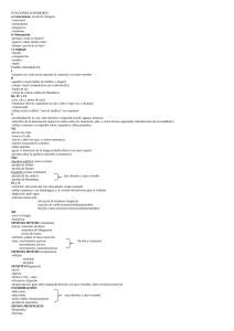 Checklist de Examen Neurol&oacute;gico