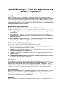 Muscle Hypertrophy: Principles, Mechanisms, Applications