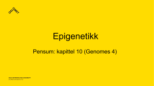 Epigenetik: DNA-metylering & Histonmodifikationer