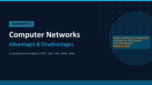 Computer Networks Assignment: PAN, LAN, CAN, MAN, WAN Advantages & Disadvantages