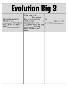 Evolution Big 3 Worksheet