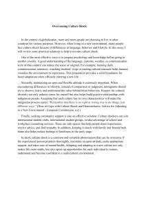 Overcoming Culture Shock: Practical Solutions for Adaptation