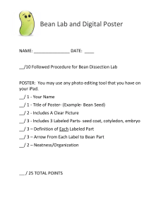 Bean Lab and Digital Poster Rubric