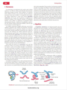 Hormonas: Sistema Endocrino y Gl&aacute;ndulas Endocrinas en Histolog&iacute;a B&aacute;sica
