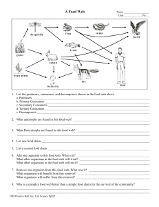 Food Web Worksheet: Producers, Consumers, Decomposers
