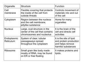 Cell Organelles: Structure & Function