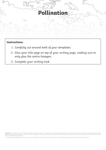 Pollination Activity Workbook for Kids