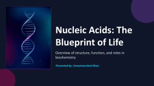 Nucleic Acids: The Blueprint of Life - Structure & Function