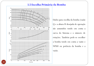 Escolha Prim&aacute;ria da Bomba: Curvas e Sele&ccedil;&atilde;o
