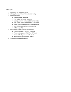 Budget Cycle Steps: National Priorities to Budget Speech