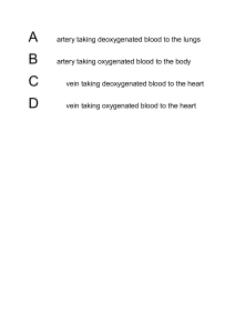 Blood Vessel Quiz Question