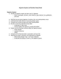 Digestive System & Nutrition Study Guide