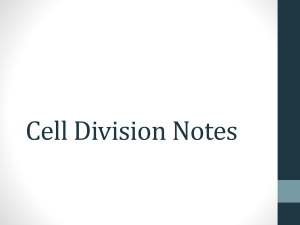 Cell Division Notes: Cell Cycle & Mitosis Stages
