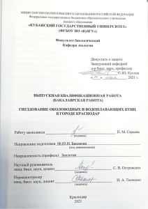 Гнездование водоплавающих и околоводных птиц в Краснодаре