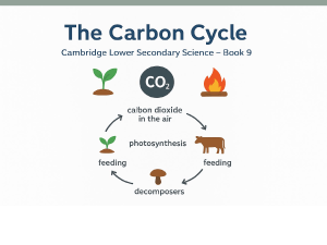 The Carbon Cycle - Cambridge Lower Secondary Science
