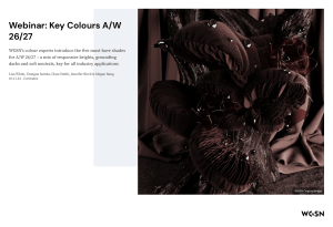 Webinar: Key Colours A/W 26/27 by WGSN