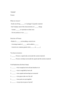 Virus Worksheet: Fill-in-the-Blank Study Guide