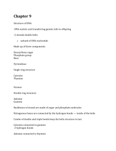 Chapter 9: Structure of DNA