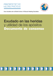 Exudado en heridas y ap&oacute;sitos: Principios de mejores pr&aacute;cticas