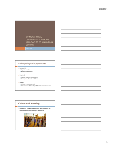 Ethnocentrism, Cultural Relativity, and Culture Analysis in Anthropology
